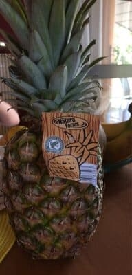 Pineapple Super Sweet