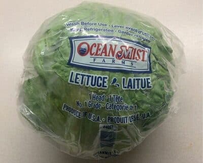Iceberg Lettuce