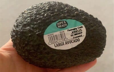 Avocado