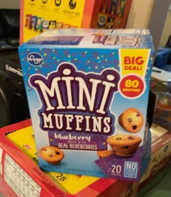 Blueberry Flavored Mini Muffins