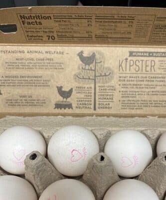 Kipster Carbon Neutral Eggs