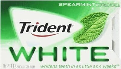 Spearmint Flavored Sugar Free Gum Pieces