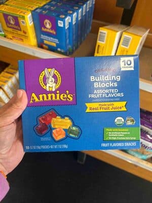 Organic Building Blocks Assorted Fruit Flavors