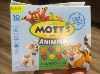 Mott's Animals Fruit Snacks, Assorted Fruit