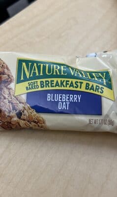Blueberry Oat