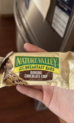 Banana Chocolate Chip