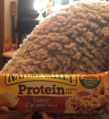 Salted Caramel Nut Protein Chewy Bar