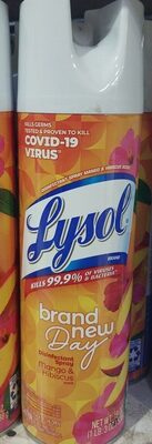 lysol brand new Day