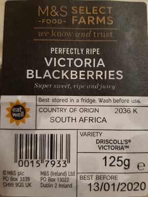 Perfectly Ripe Victoria Blackberries
