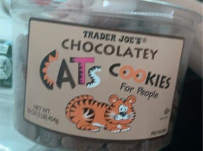 choclatey cats
