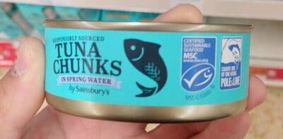 Tuna Chunks
