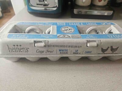 Cage Free Grade A Large White Eggs