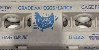 12 LARGE EGGS