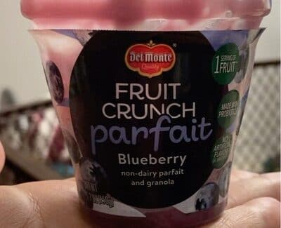 Blueberry Non-Dairy Parfait and Granola