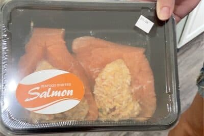Salmon