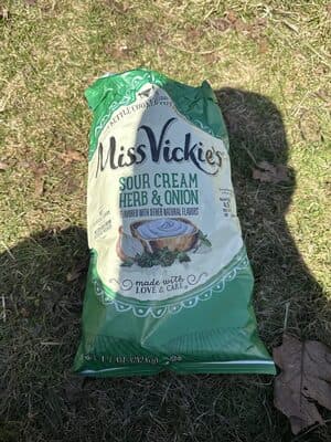 Sour Cream And Onion Chips