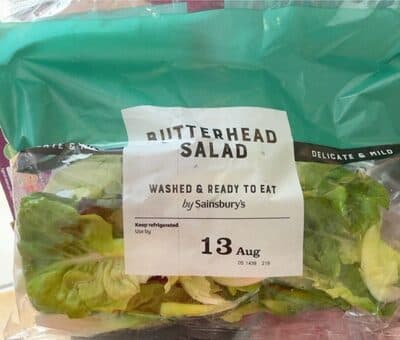 Butterhead salad