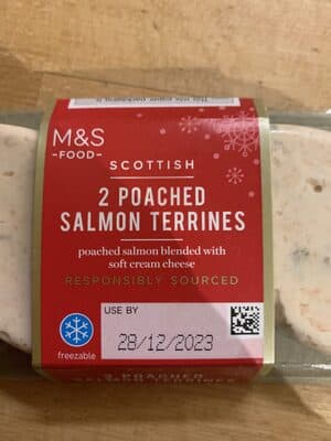 Poached Salmon Terrine