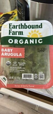 Baby Arugula Mildly Peppery Greens