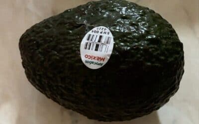 Hass Avocado