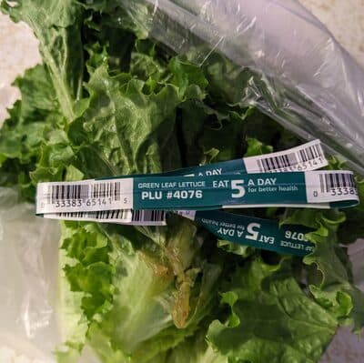 Green Leaf Lettuce