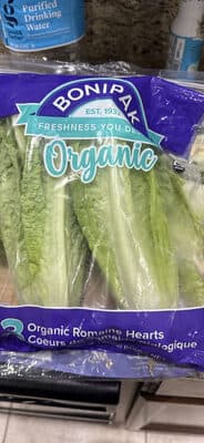 Organic Romaine Hearts