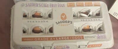Eggs