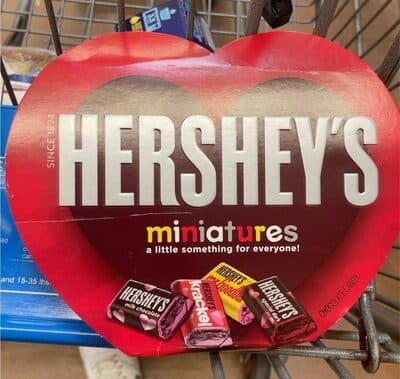 Chocolate Candy Miniatures
