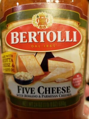 Five Cheese With Romano & Parmesan Cheeses Sauce
