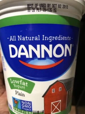 Plain Lowfat Yogurt