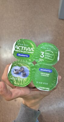 Blueberry Lowfat Yogurt