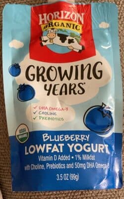 Blueberry Lowfat Yogurt