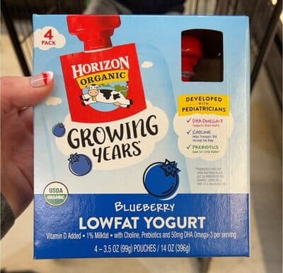 Blueberry Lowfat Yogurt