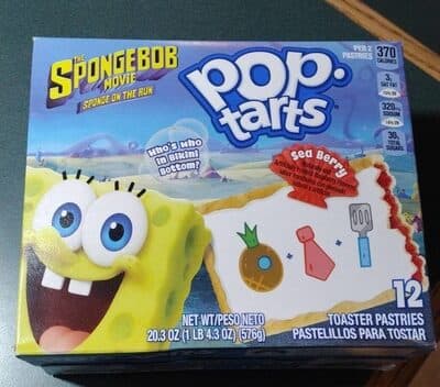 Sea Berry Frosted Raspberry Flavored Toaster Pastries