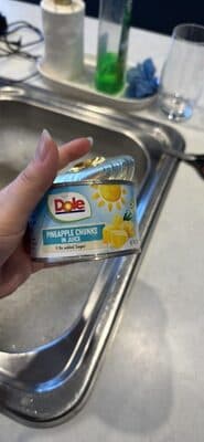 Pineapple Chunks in Juice