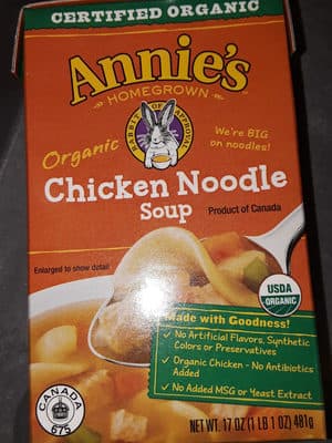 Organic Chicken Noodle Soup