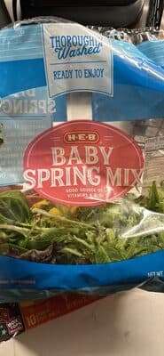 Spring Mix Baby Food