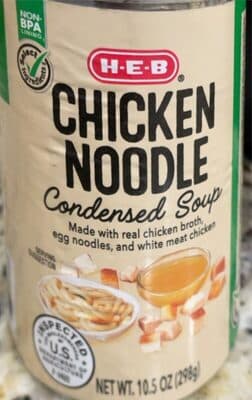 Chicken noodle