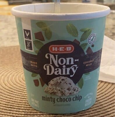 Non-Dairy Minty Choco Chip