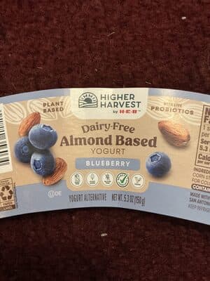Dairy-free Almond Based Yogurt Blueberry
