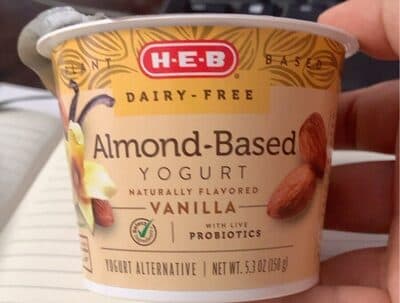Almond Based Yogurt