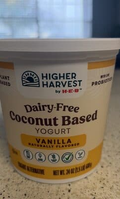 Dairy free coconut based yogurt