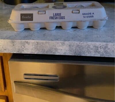 Fresh Eggs