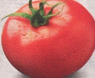 Tomato Ketchup