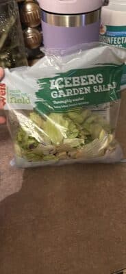Iceberg Garden