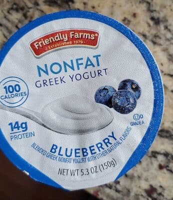 Greek Nonfat Yogurt, Blueberry