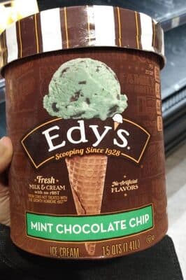 Mint Chocolate Chip Ice Cream