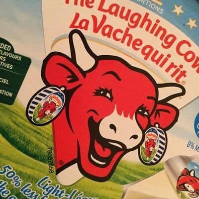 Vache qui rit léger