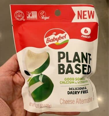 Plant based cheese alternative