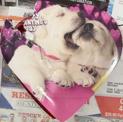 Elmer Chocolate Valentines Day